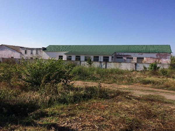 нежитлова нерухомість продам село Петродолинське, фото 4 з 9